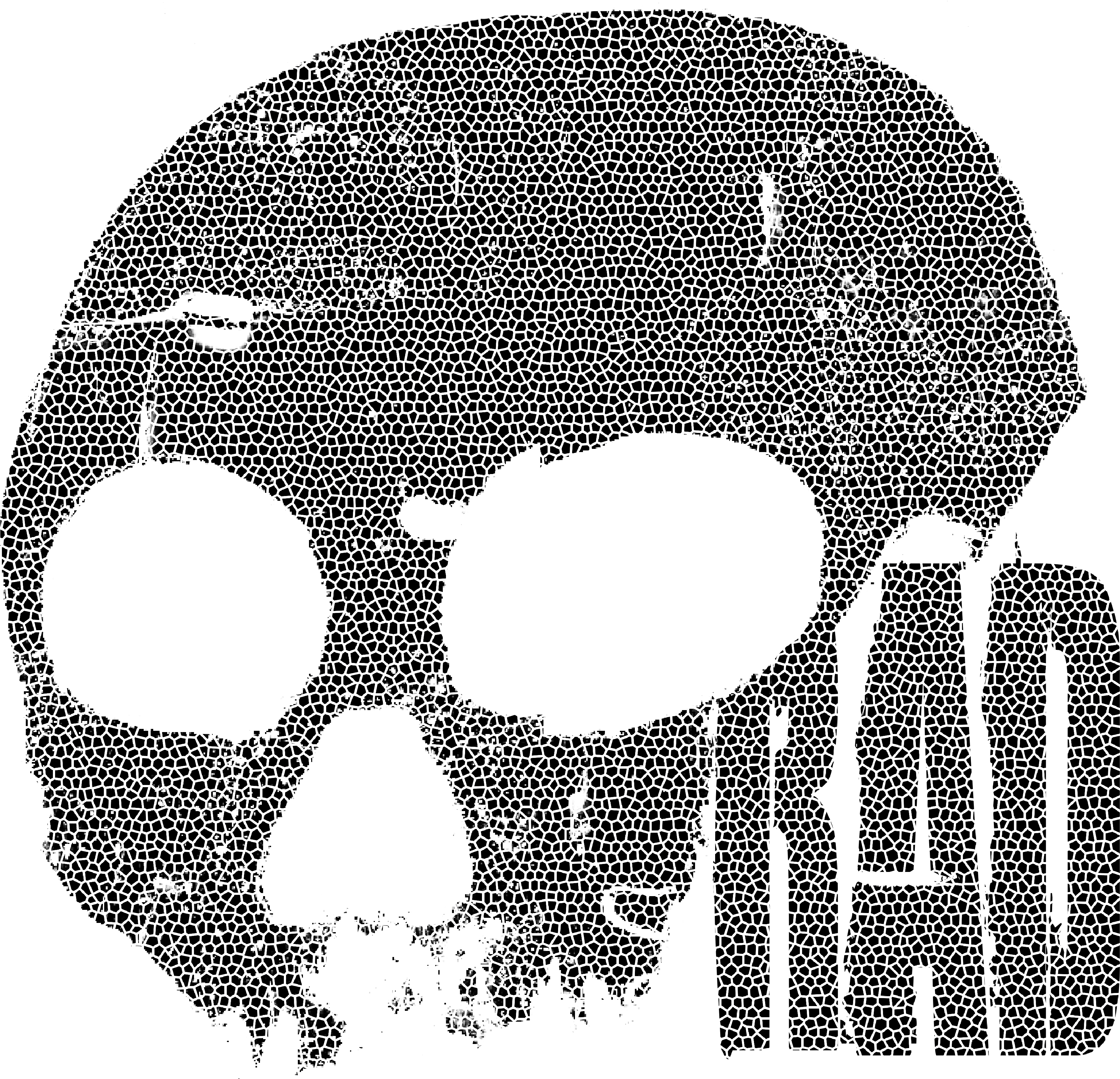 Radskull Small - Skull (3600x4800), Png Download