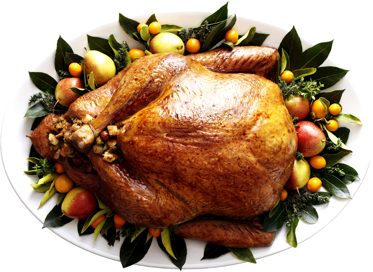 Who We Are - Turkey Dinner Top View (1556x1136), Png Download