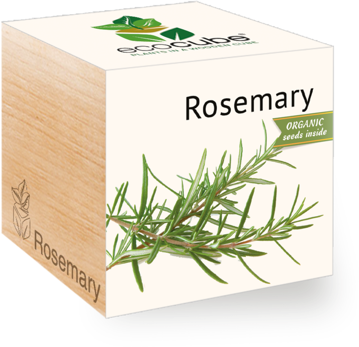 Plant De Romarin (800x800), Png Download