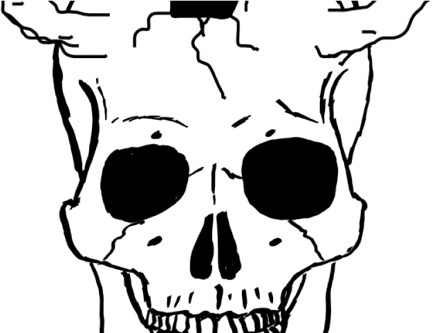 Skeleton Head Clipart Skelleton - Cara De Esqueleto Dibujo (640x480), Png Download