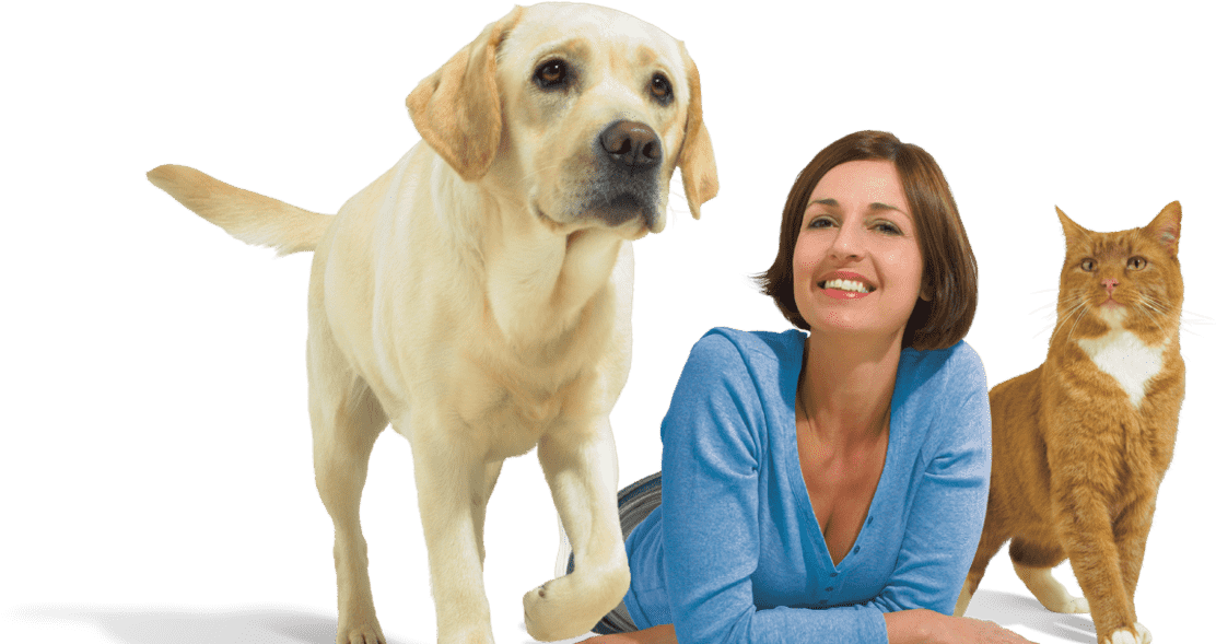 Dog Cat And Woman On White - Labrador Retriever (1280x720), Png Download