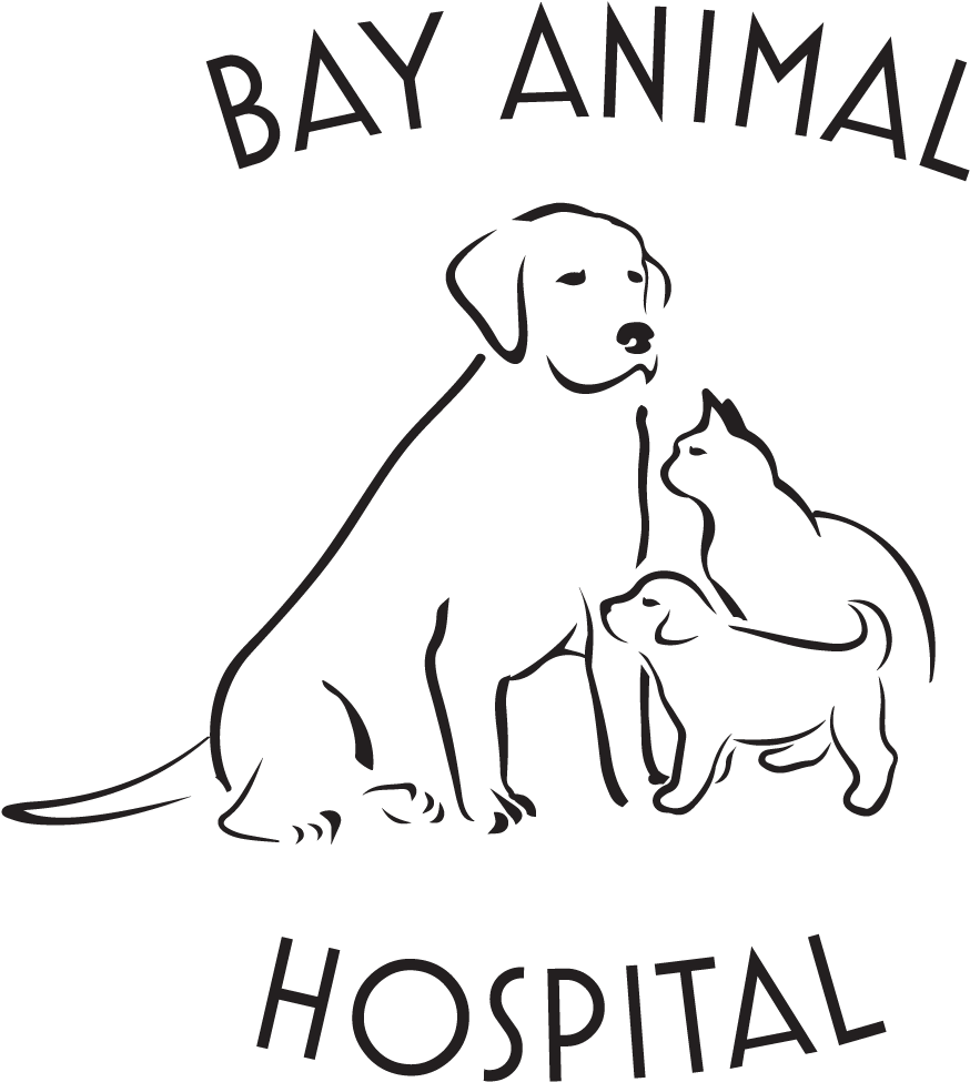 Round Dog And Cat Logo - Line Art (1050x1060), Png Download