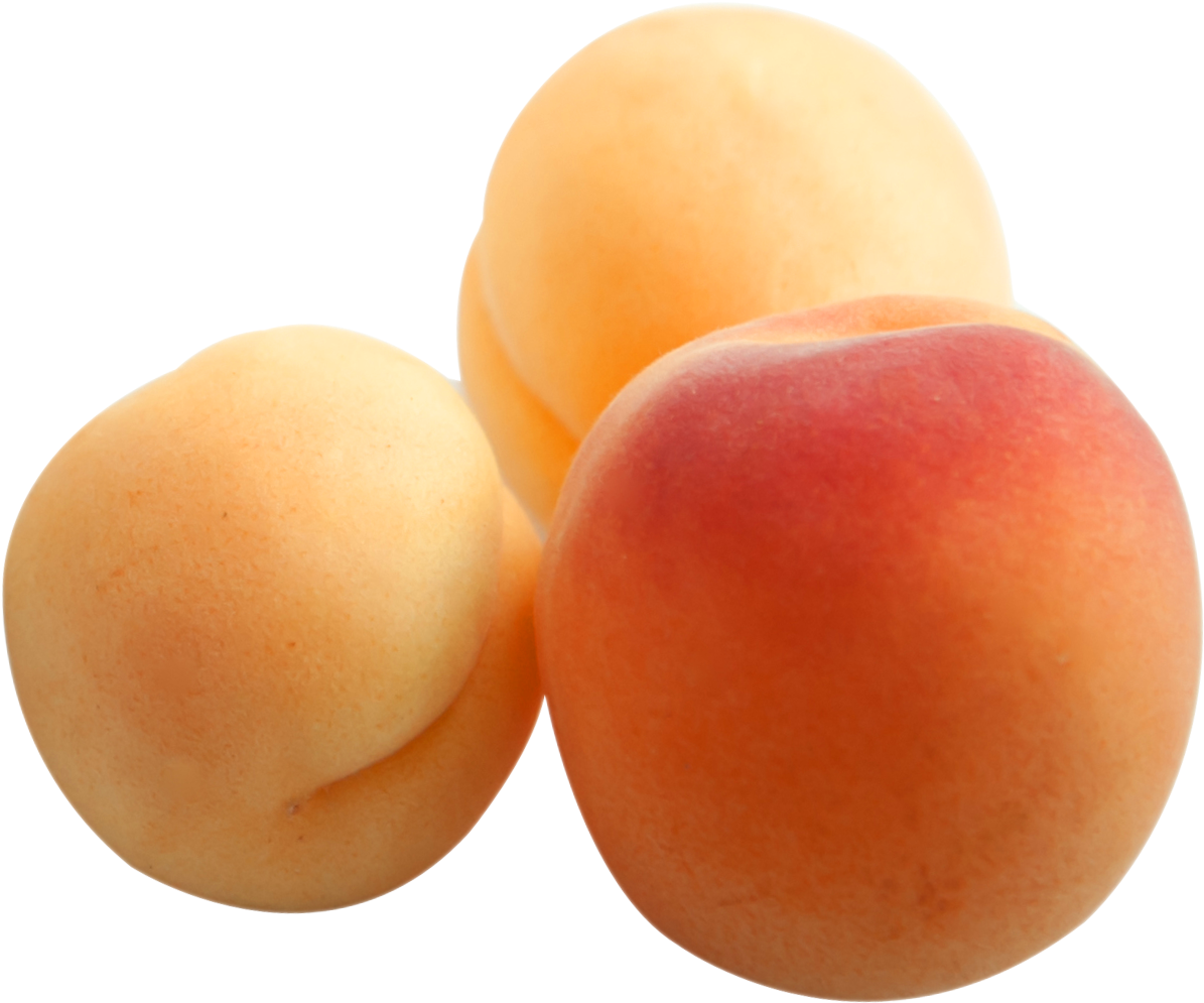 Apricots - Apricot Png (1260x1090), Png Download