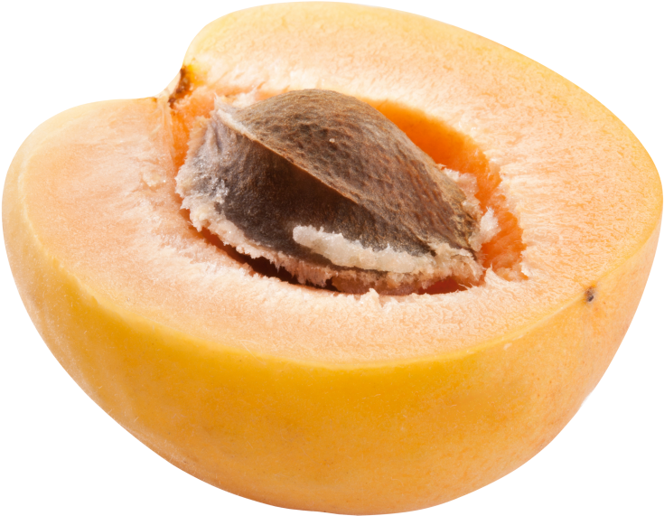 Apricot (866x650), Png Download