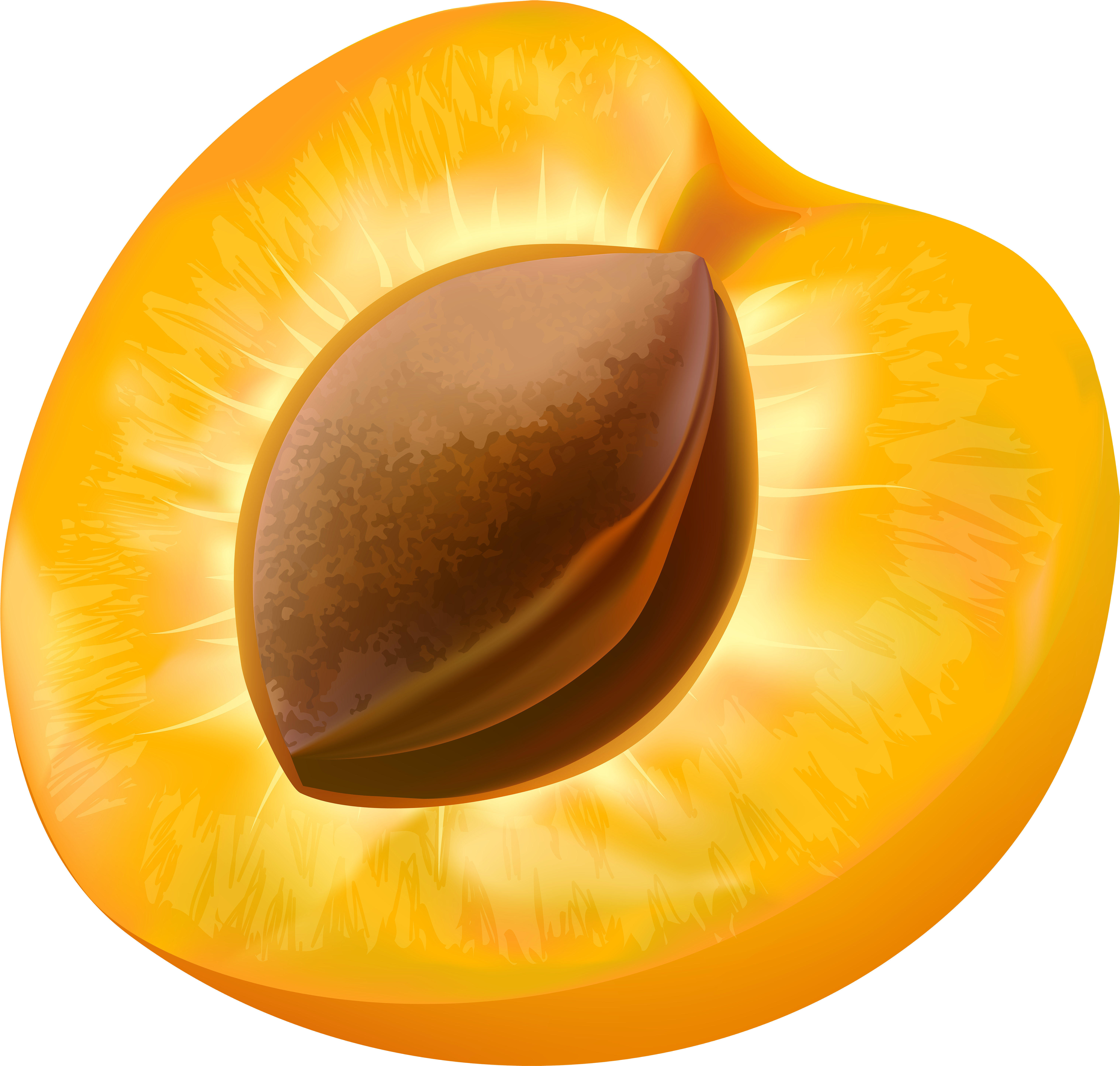 Half Apricot Transparent Image - Illustration Abricot (6000x5710), Png Download