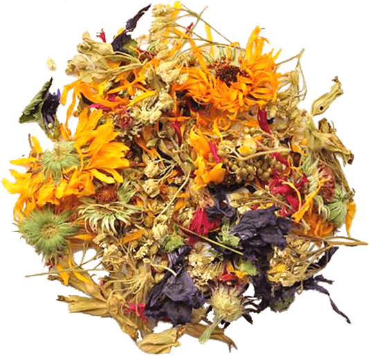 Handmade Fresh Healhty Medicinal Herbs Marigold Primrose - Artificial Flower (1024x1024), Png Download