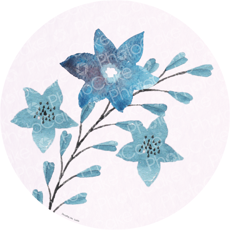 Watercolour Wild Flowers - Branches And Flowers Drawing (800x800), Png Download