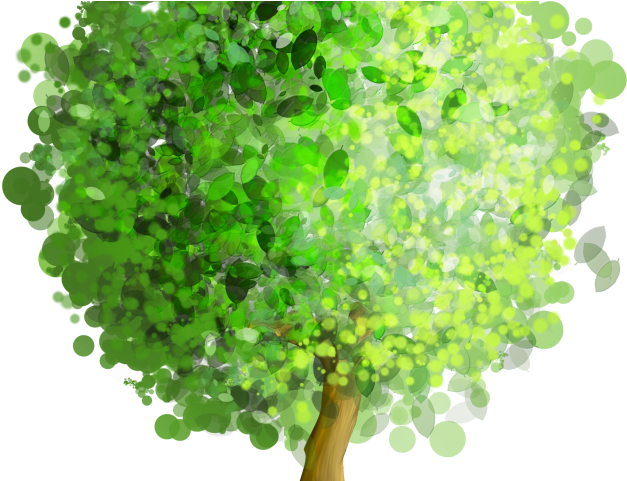 Willow Tree Clipart - Art Tree (640x480), Png Download