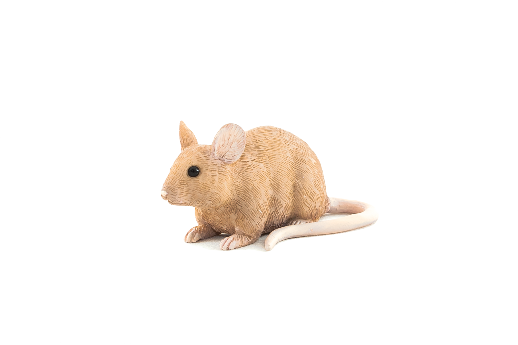 Rat (1818x1212), Png Download