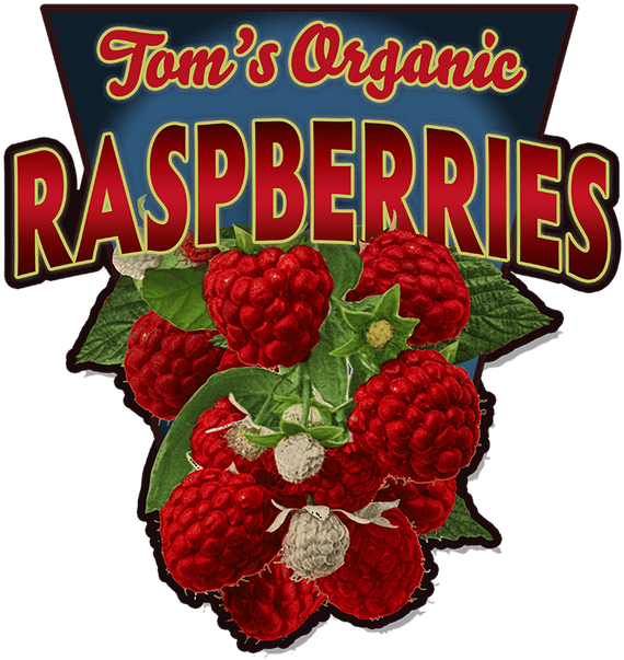 View Zoom Raspberries - Floral Design (730x730), Png Download