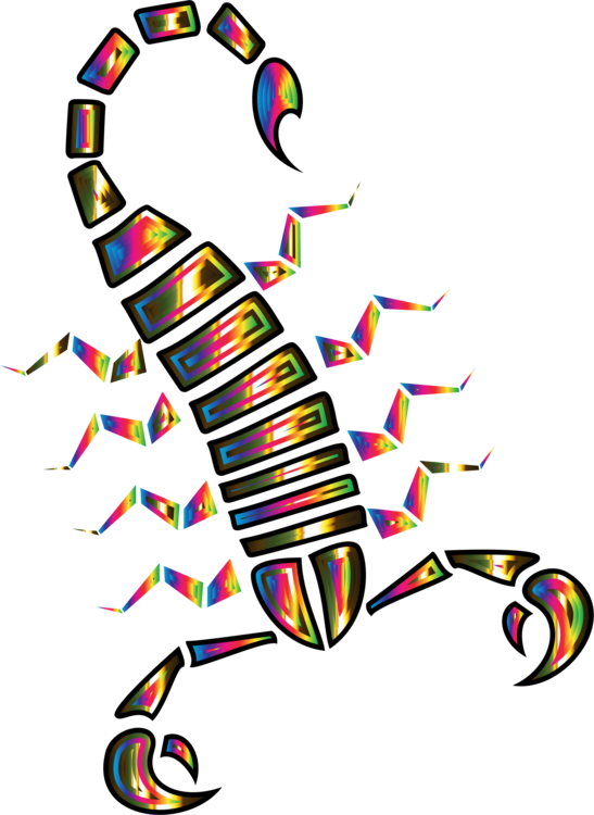 Scorpion Sting Arachnid Animal - Scorpions Clipart (547x750), Png Download