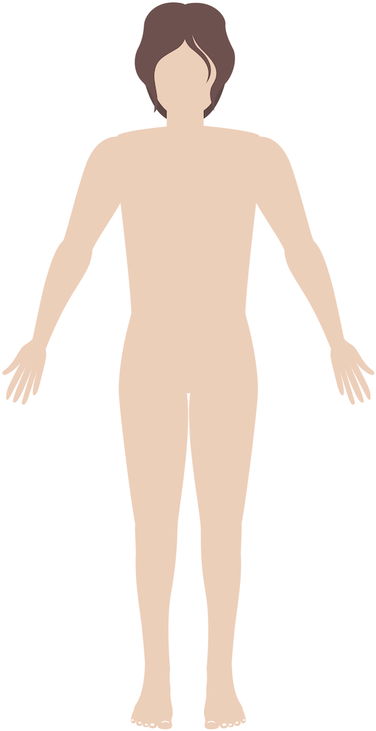 Human Body - Illustration (1080x1080), Png Download