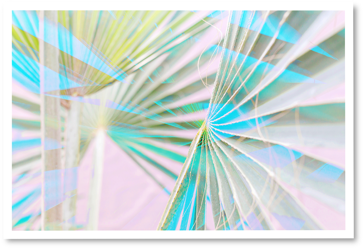 Neon Light Palms ~ N° - Ferris Wheel (1323x1134), Png Download