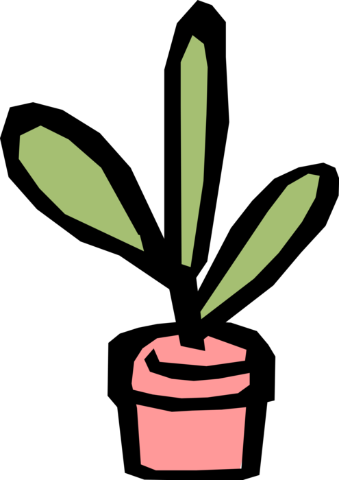 Clip Transparent Download Potted Image Illustration (495x700), Png Download