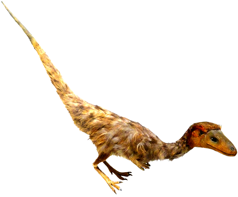 Feathered Dinosaur Clipart - Velociraptor (945x788), Png Download