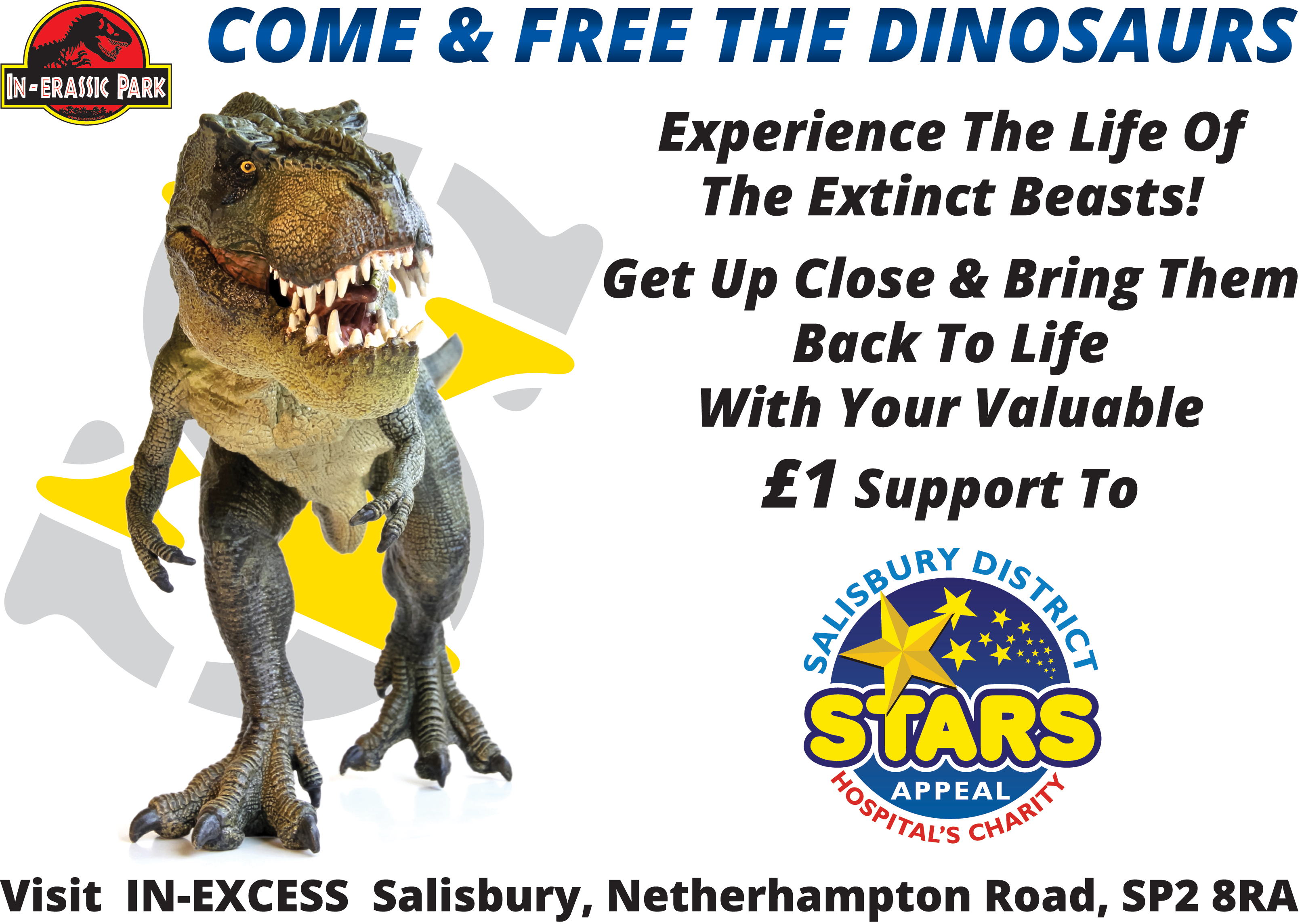 Stars Appeal (3219x2288), Png Download