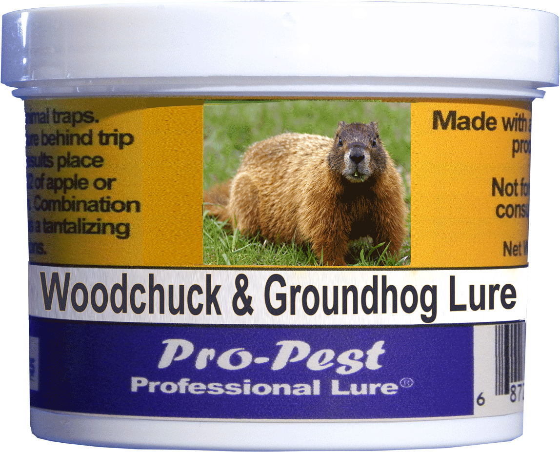 Pro-pest Woodchuck/groundhog Lure Prof 8 Oz Jars 8ct - Punxsutawney Phil (1200x1200), Png Download