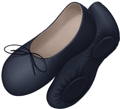 Ballet Shoes - Ballet Flat (800x800), Png Download