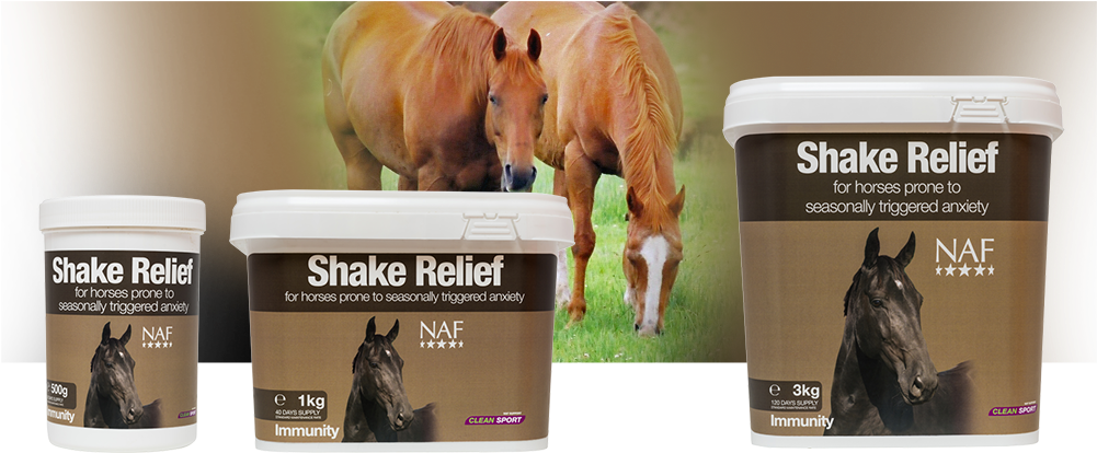 Nutritional Support For Horses Showing Signs Of Seasonal - Sorrel (1000x423), Png Download