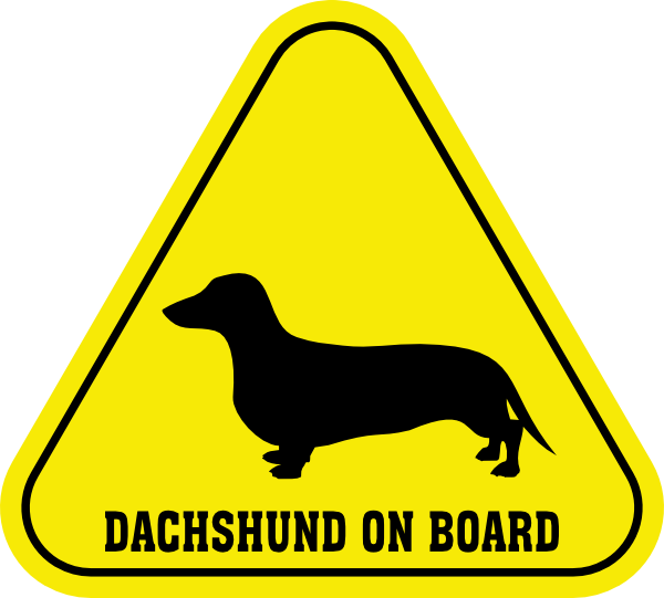 Small - Dachshund On Board (600x541), Png Download