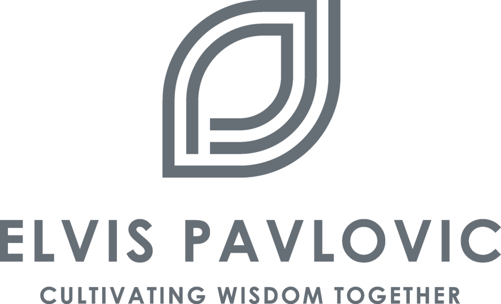 Elvis Pavlovic Logo And Tagline - Poster (1000x607), Png Download