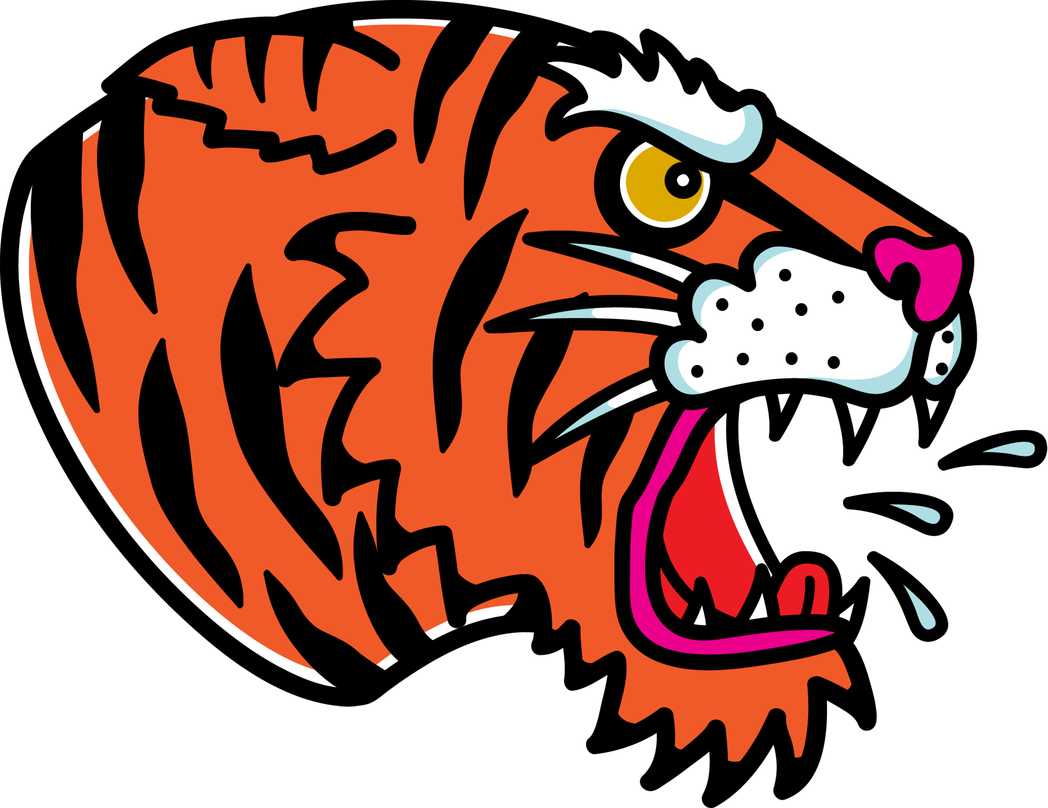 Pocket Tiger (3543x2734), Png Download