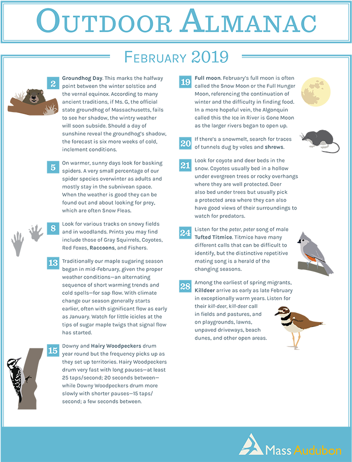 0 Replies 2 Retweets 2 Likes - Brochure (750x947), Png Download