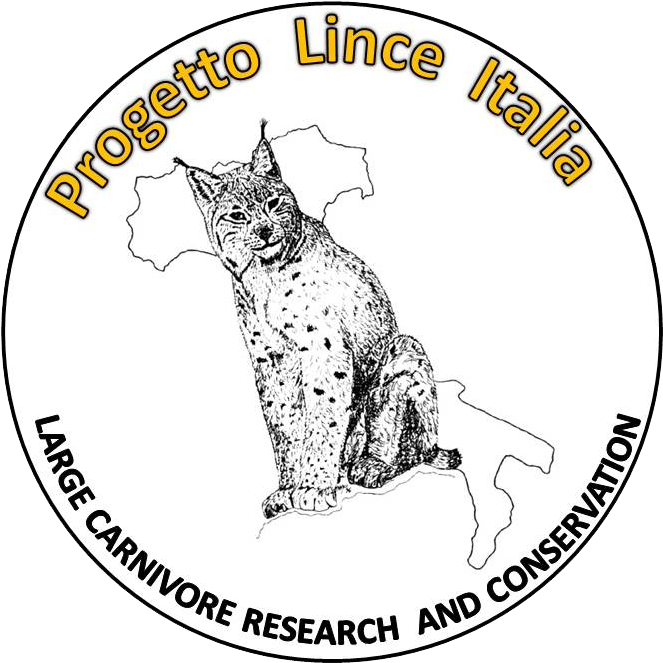 The Progetto Lince Italia - Cartoon (717x707), Png Download