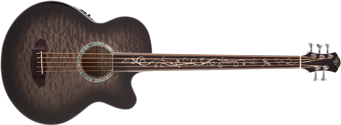 Fretless Acoustic Bass Guitar (1100x425), Png Download