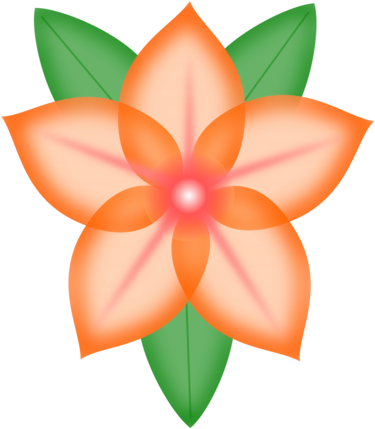 Healthcare Supply Service Orange Flower Petal Computer - ورد ة Png (530x750), Png Download