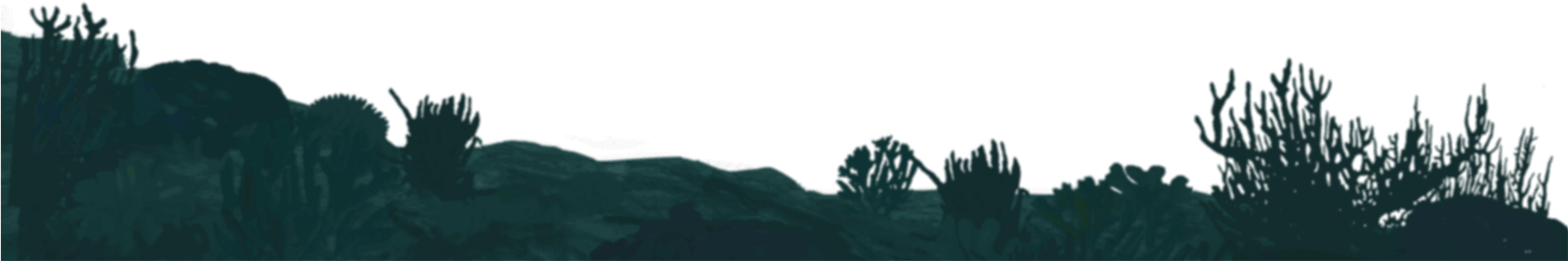 Immersive Experiences For The Digital World - Palm Tree (1920x1080), Png Download