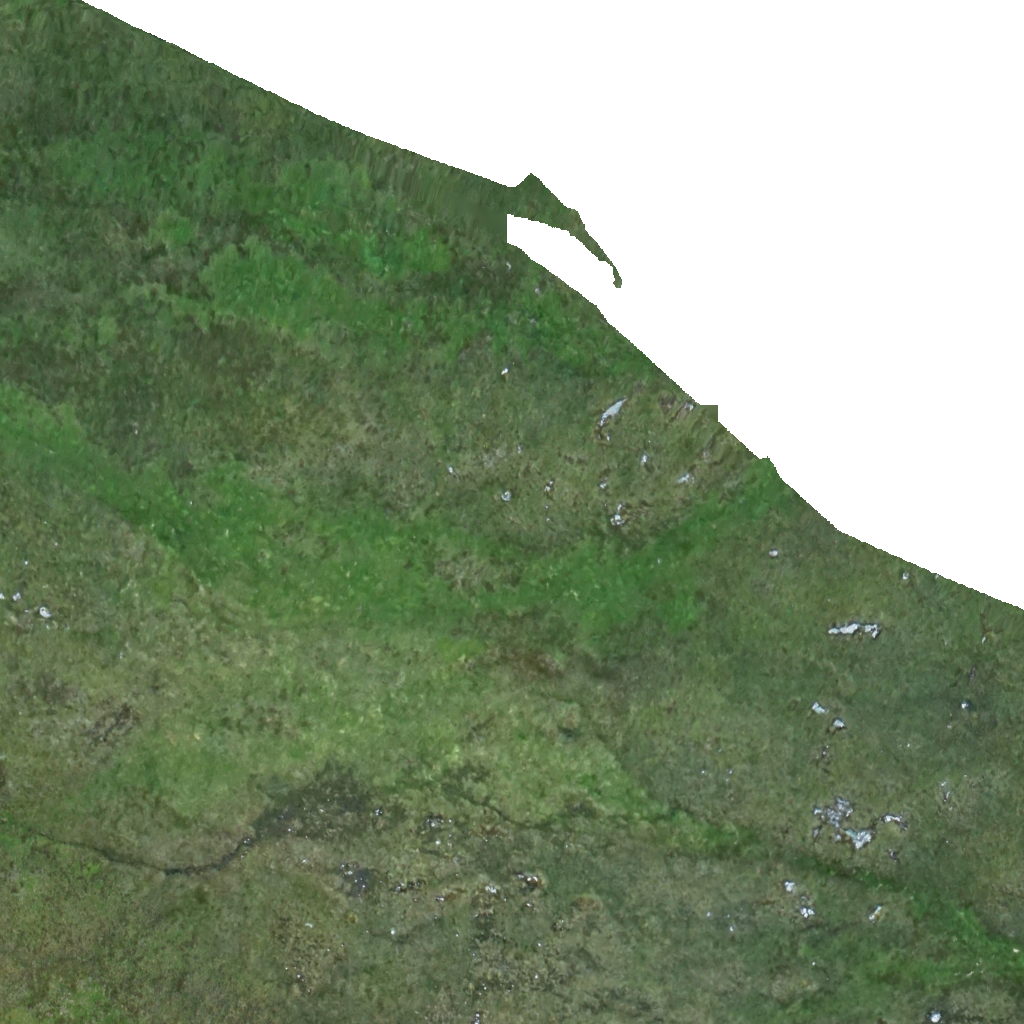 Kml Href, E1030 - Grass (1024x1024), Png Download