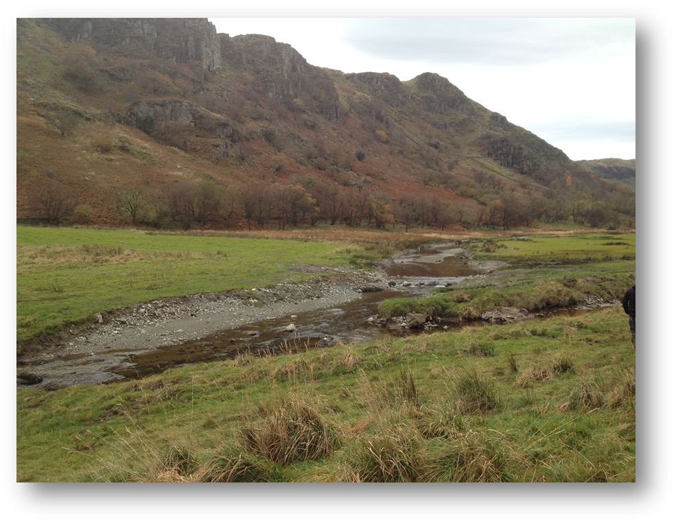 Members Site Visits Archive - Grass (999x774), Png Download