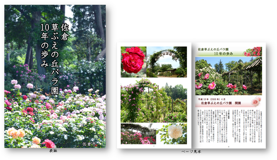 News Of "step Of Sakura Grass Bueno Hill Rosary Ten - Garden Roses (917x545), Png Download