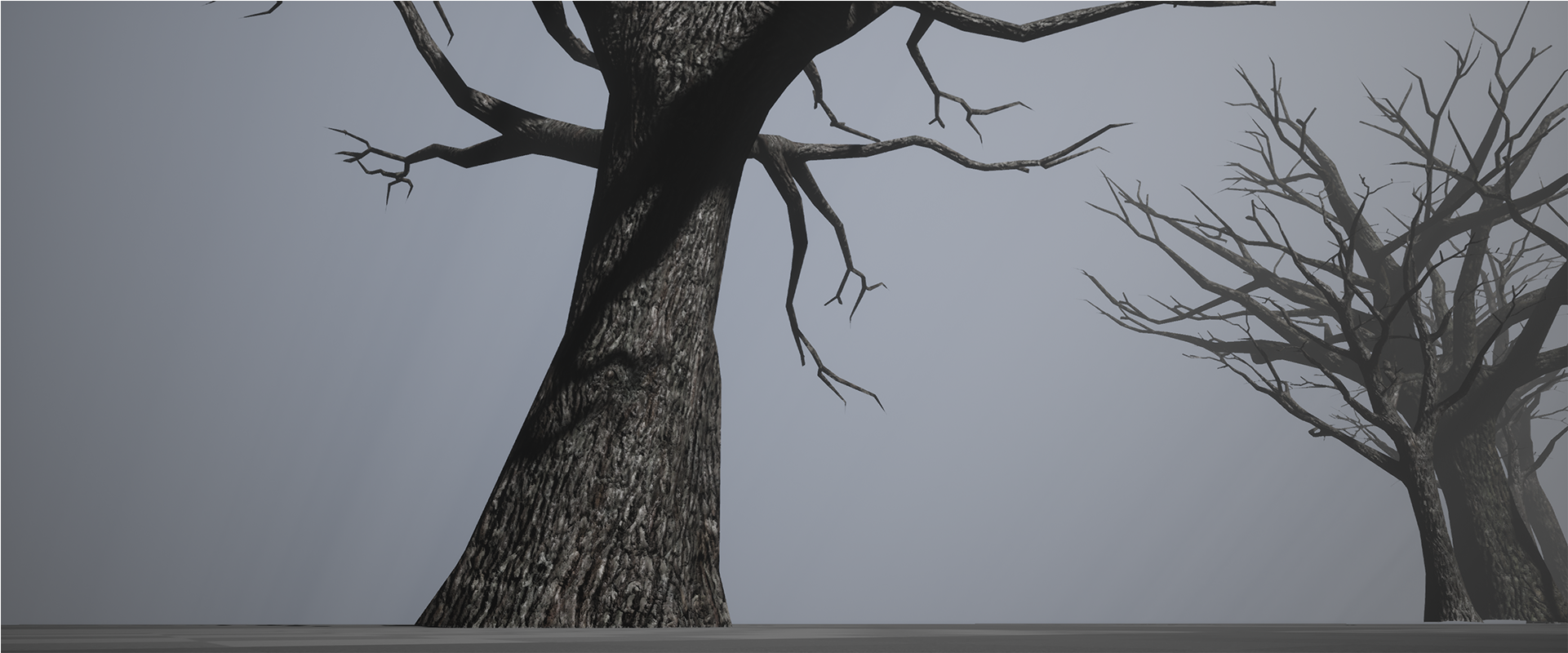 Old Tree Pack - Oak (1920x1080), Png Download