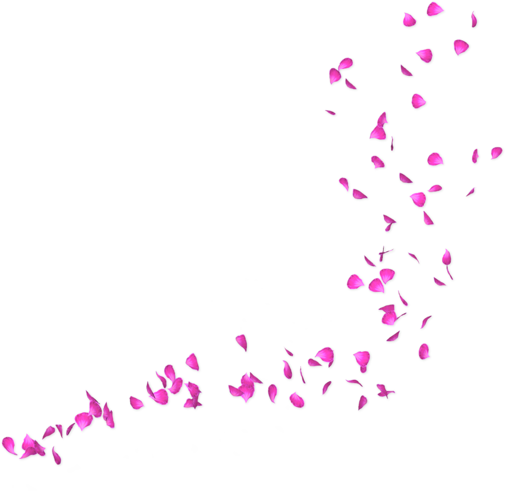Petals Sticker - Blue Flower Petals Png (1024x995), Png Download
