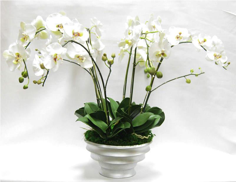 - Resin Round Container Silver Leaf - Artificial Flower (800x800), Png Download