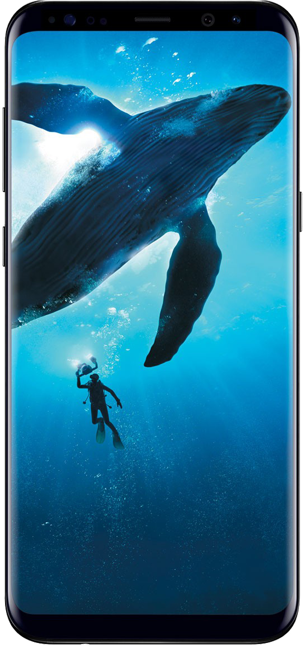 Galaxy S8 Png - Samsung Galaxy S8 Price In India (687x1300), Png Download