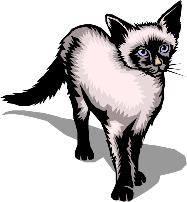 Vector Illustration Of Family Pet Small Domesticated - Siamese Cat (647x700), Png Download
