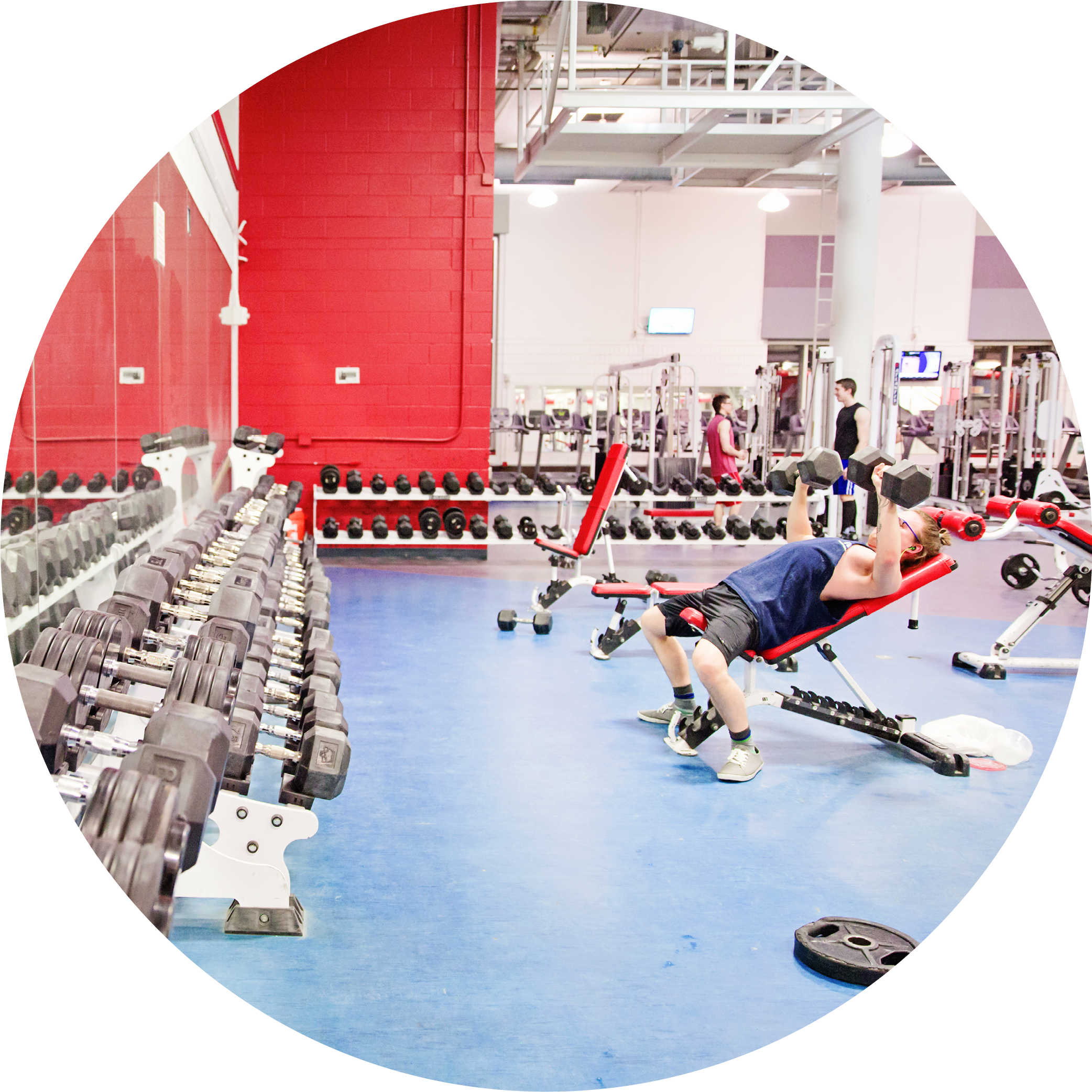 Student Lifting Weights In Recreation Centre - Gym (2083x2188), Png Download