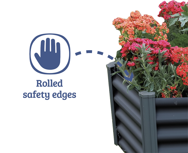 Hydrangea Serrata (800x800), Png Download