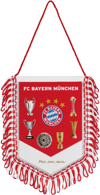 Fc Bayern Munich (660x660), Png Download