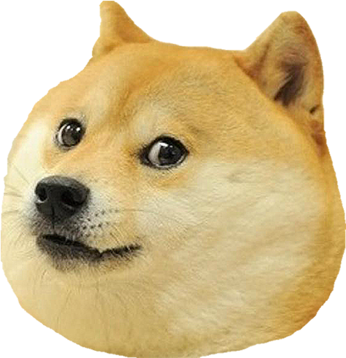 Dog Head Png - Shiba Dog (618x618), Png Download