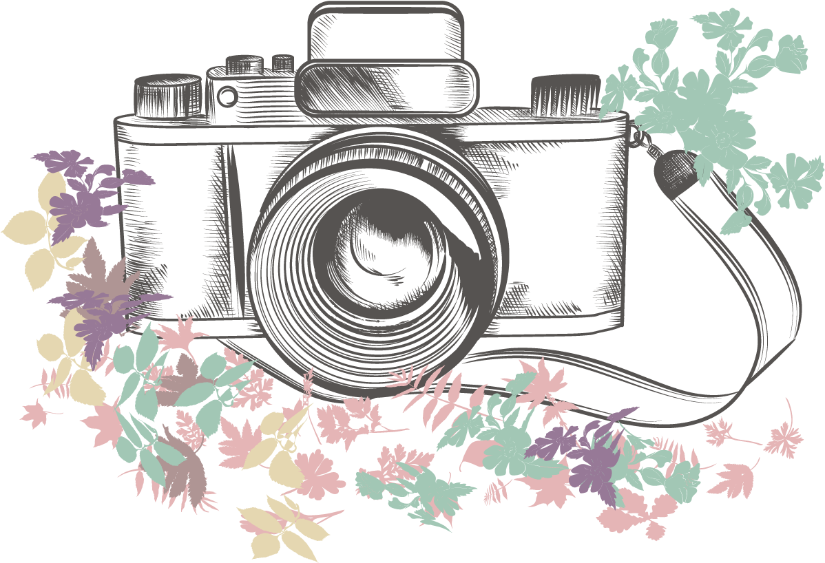 Camera Drawing Png - Vintage Camera Drawing (1200x1200), Png Download