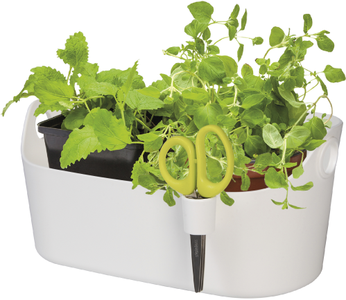 Home > Collection > Brussels Herbs Station - Flowerpot (750x750), Png Download