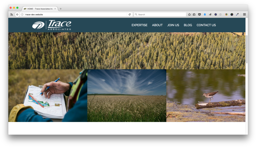 Aryly78a8b-900x900 - Grass (900x519), Png Download