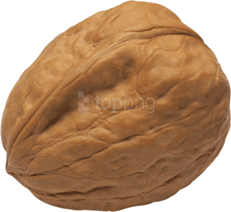 Walnut Png Image - Transparent Walnut Png (839x771), Png Download