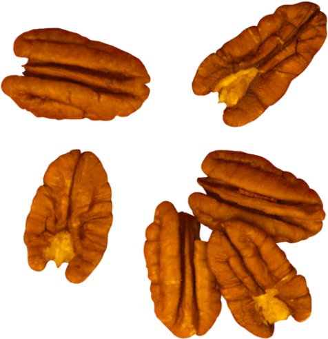 Walnut - Bun (866x650), Png Download