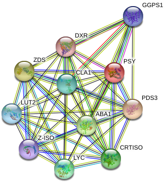 Ferris Wheel (975x396), Png Download
