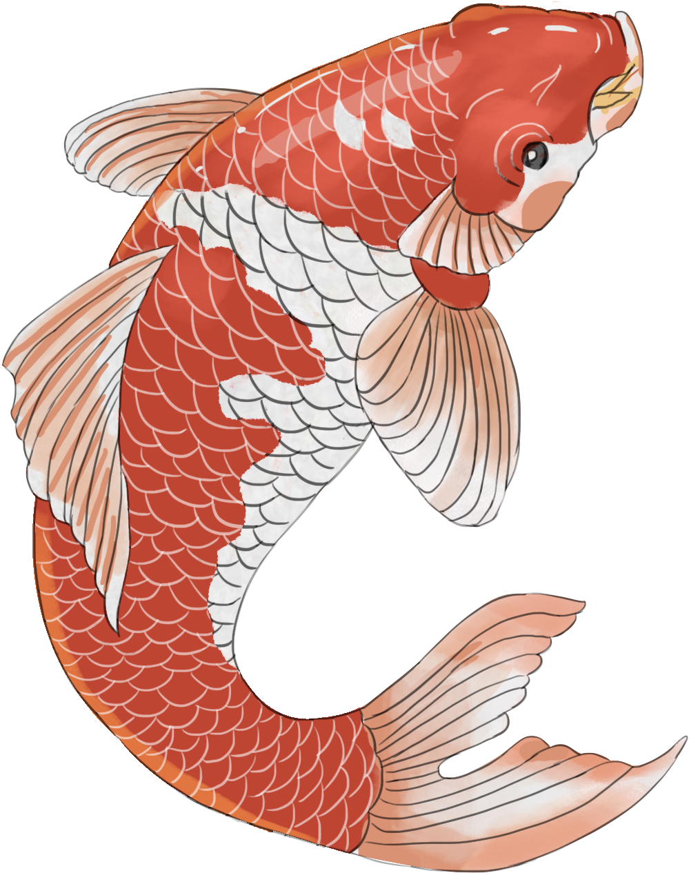Chinese Style Hand Painted Festive Koi Png And Psd - Catfish (2000x2000), Png Download